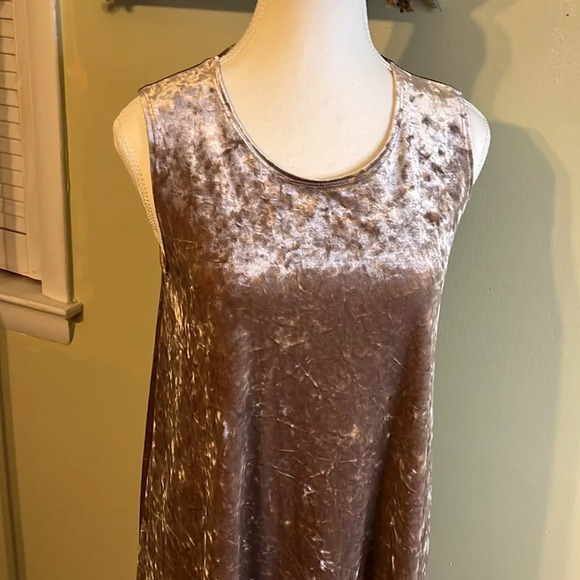 Molly Green Lindsay mushroom velour sleeveless swing mini dress - Picture 3 of 13